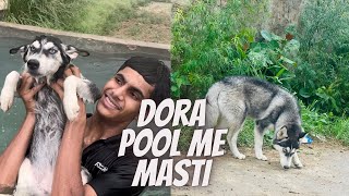 Dora ko pool me nehla diya 🤣