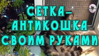 Сетка-антикошка своими руками за 1 час