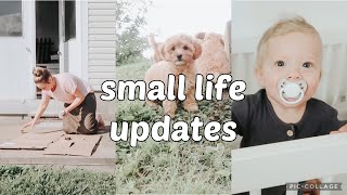 VLOG || DIY Project || Thrift Haul || Puppy Update