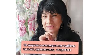 Какво научих от развалянето на моя телефон?