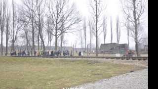 ŚMIERĆ W AUSCHWITZ-BIRKENAU 1940-1945