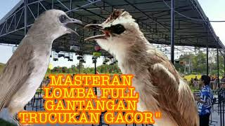 SIMULASI LOMBA burung TRUCUKAN