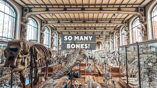 THE BEST BONE MUSEUM IN THE WORLD  |  WHAT TO DO IN PARIS  |  France | EP 39