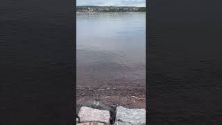 Pretty nice sea at Oslo Fjord’s Langøya island