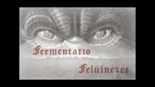 Fermentatio - Felülnézet ( Full Album )