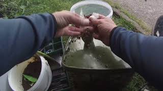 canal carp fishing 05/05/2022