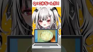 【アキネーター風クイズ】幅狭すぎ！！！【堕天しすた/ハコネクト】#shorts #新人vtuber #vtuber #ミラ・ルプス