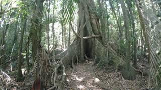 Hiking at Mt Nebo - MY FIRST VIDEO