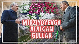 Mirziyoyev poyiga ekilgan gullar puli to‘lanmadi