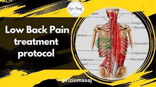 Low back pain treatment protocol by therapeutic massage (@fiziomasaj)