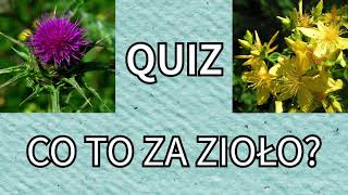 Quiz - polskie zioła