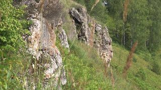 Марий Эл ТВ: Чумбылат курыкышто кумалтыш  лиеш