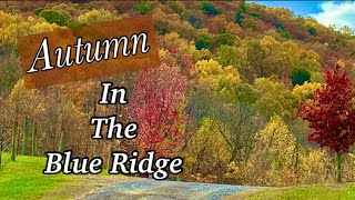 Brilliant AUTUMN COLOR in the Blue Ridge 🍂