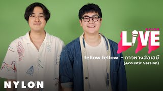 fellow fellow - ดาวหางฮัลเลย์(Halley's Comet) l NYLON LIVE l Live Session