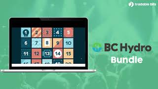 BC Hydro - Bundle Campaign