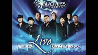 Alacranes Musical "Por Amarte Asi" En Vivo Desde Mexico