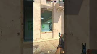 i saw the Panic in his eyes  #gaming #videogame #cs2 #csgo