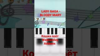 LADY GAGA - BLOODY MARY - Wednesday Addams (кошка поёт песню) #shorts #ladygaga #wednesday #piano