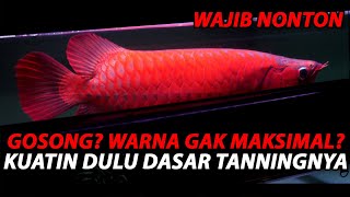 Pejuang Tanning Wajib Nonton! Maksimalkan Proses Tanning Kalian dengan INI!