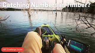 Fishing a Sunken Forest - Briery Creek Lake