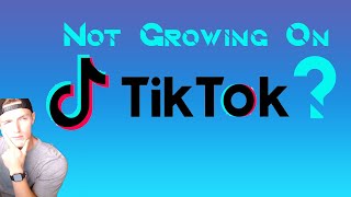 TIK TOK SUCCESS... What I did to gain 2000 FOLLOWERS in a MONTH