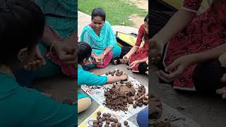 Seed balls making program at SVVP degree College