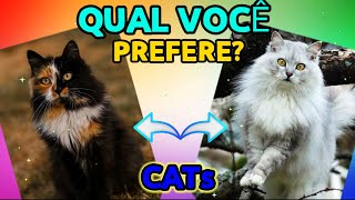 QUAL VOCÊ PREFERE / EDIÇÃO GATOS / EDITION CATs