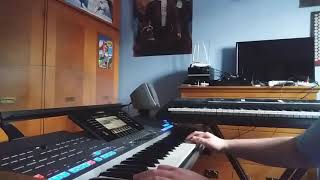 Steve Aoki & Lewis Tomlinson Just Hold On Played on Yamaha Tyros 5 & Yamaha PSR-E243