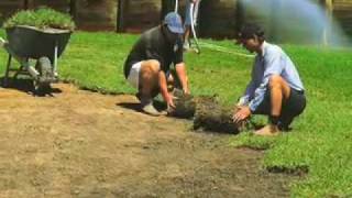 Laying new turf / Lawn Installation