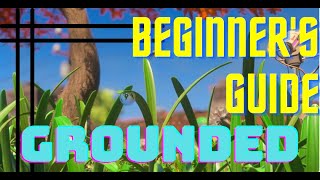 GROUNDED BEGINNER'S GUIDE