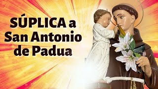 SÚPLICA a San Antonio de Padua | MI AMIGO San Antonio