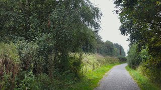 240905 Torsdag (1) Naturens Uge i Kolding (2) Gå-Marathon (3) Sensommer og efterår på Godset