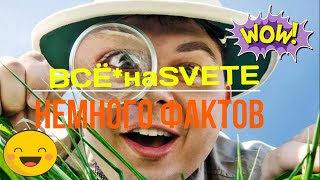 🆕 НЕМНОГО ФАКТОВ | ВСЁ*наSVETE