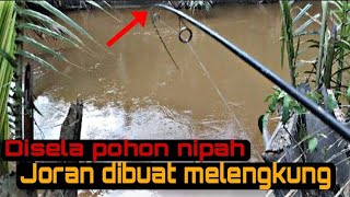 mancing ikan sembilang di muara