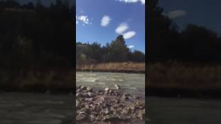 Looking for creatures along the Chama River