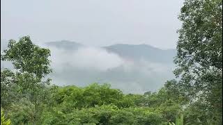 Coorg morning view || #coorg #nature #shorts #youtubeshorts ||