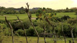 Bali Balangan land for sale Kuta 17 hole Golf beach surfing 0.5 acre plot