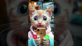 BABY CAT IS CALLING TO YOU