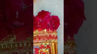 Jay Ashapura Maa 🙏🙏#shorts #shortvideo #jai #ashapura #maa #viral #video #viralvideo #ashapuramataji