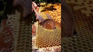 NATURAL HONEY 🐝🍯 || MOST SATISFYING VIDEO ..