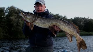 Vissen op snoek: Met een baars onder de dobber..deel 2