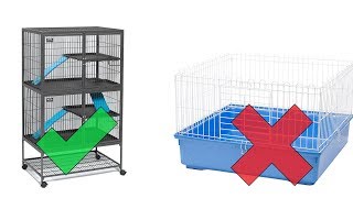 Ferret Cages: Buy These, NOT THOSE - Before you Buy a ferret