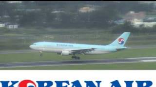 [REAL] JEJU Int'l airport various aircraft landing special