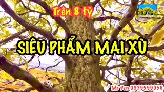 SIÊU PHẨM MAI XÙ