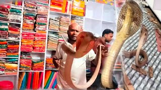 जब कपड़े की दुकान से निकला || MOST DANGEROUS INDIAN SPECTICLED COBRA SNAKE