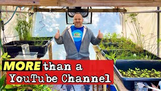 Aquatic Plants Greenhouse EXPANSION- Phase 1- More Than a YouTube Channel!