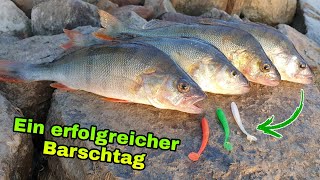 VERRÜCKT jeder Wurf ein BARSCH! || Am Rhein