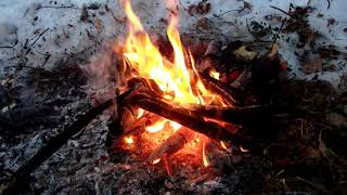 Зимний  лес. Лесная  кухня. Природа отдых. Бушкрафт. ПВД. Bushcraft. Solo winter camping.