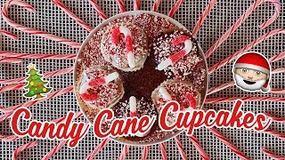 Vegan Candy Cane Cupcakes :: Day 5 of 12 Days of Vegan Christmas Recipes