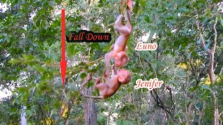 Adorable baby Luno and Jenifer fall from a tree